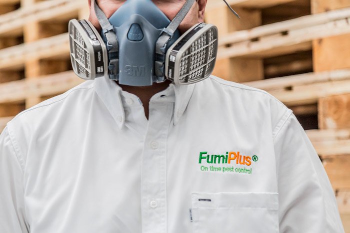 Fumigaciones en Villahermosa FUMIPLUS