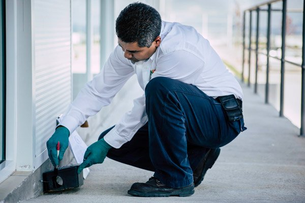 Fumigaciones en Villahermosa FUMIPLUS